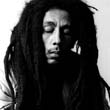 BOB-MARLEY-ROLL-198-15