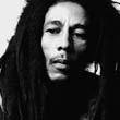 BOB-MARLEY-ROLL-198-24