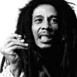 BOB-MARLEY-ROLL-199-13