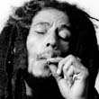 BOB-MARLEY-ROLL-199-19