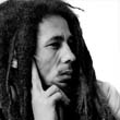 BOB-MARLEY-ROLL-199-22