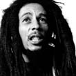 BOB-MARLEY-ROLL-199-32