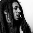 BOB-MARLEY-ROLL-199-36