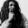 BOB-MARLEY-ROLL-200-09