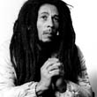 BOB-MARLEY-ROLL-200-34