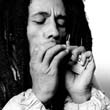 BOB-MARLEY-ROLL-201-05