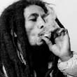 BOB-MARLEY-ROLL-201-13