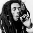 BOB-MARLEY-ROLL-201-14