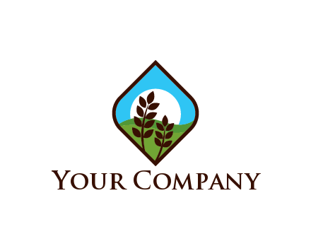 sun behind field with plant in frame